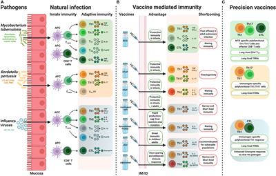 Precision Vaccine Development: Cues From Natural Immunity